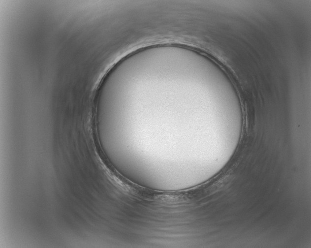 X0000054431500200508192110