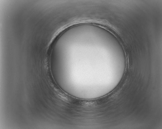 X0000054431501200508192110