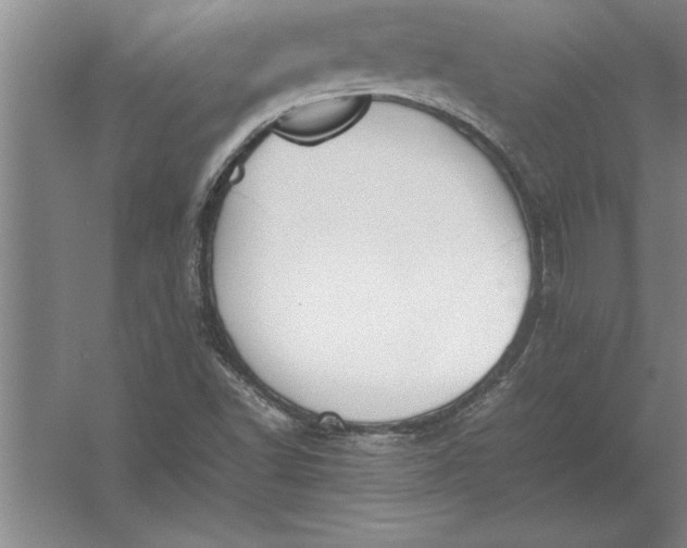 X0000054431502200508192110