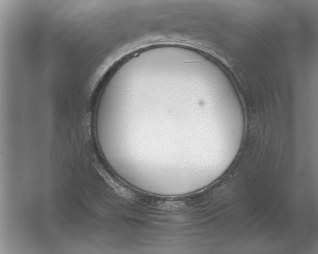 X0000054431503200508192110