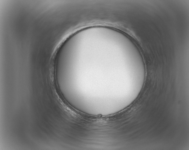 X0000054431504200508192110