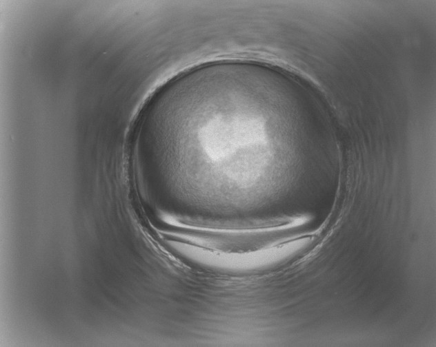 X0000054431506200508192110