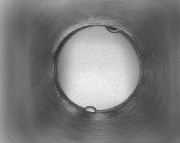 X0000054431507200508192110