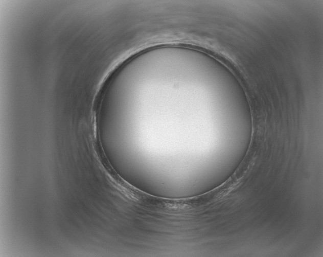 X0000054431509200508192110