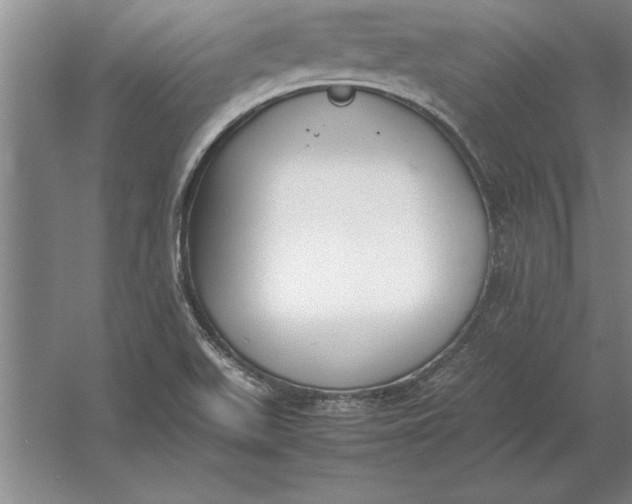 X0000054431511200508192110