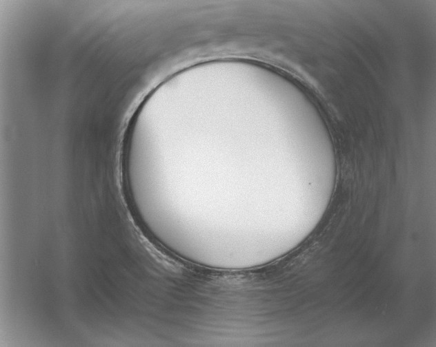 X0000054431512200508192110