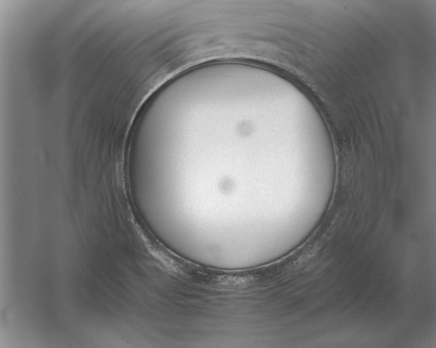 X0000054431513200508192110