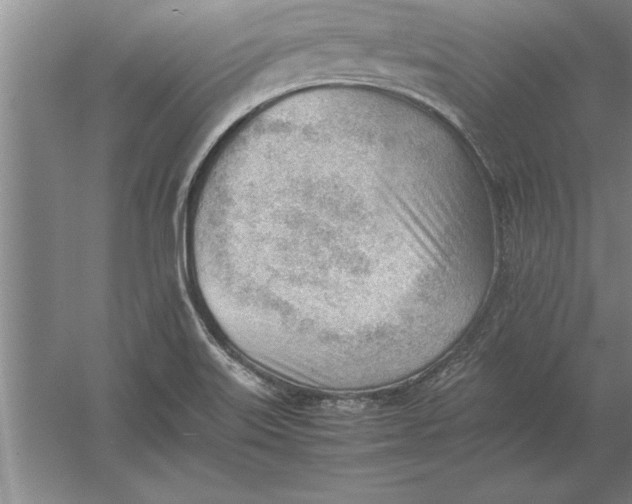 X0000054431515200508192110