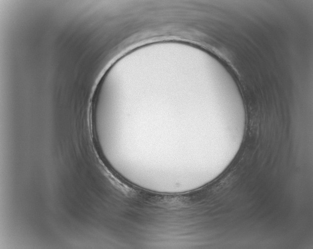 X0000054431516200508192110