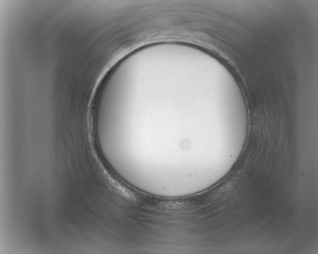 X0000054431517200508192110