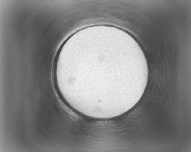 X0000054431518200508192110