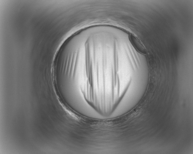 X0000054431519200508192110