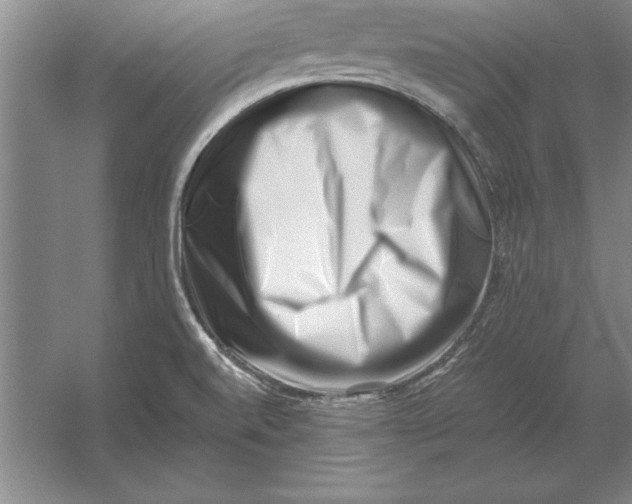 X0000054431520200508192110