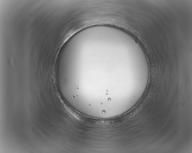 X0000054431521200508192110