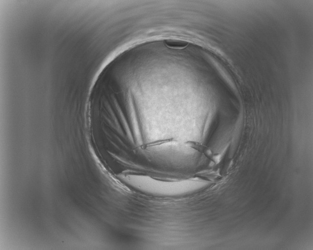 X0000054431522200508192110