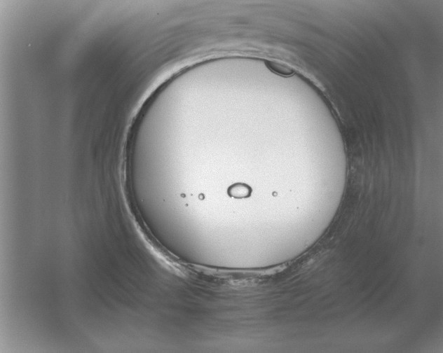 X0000054431523200508192110