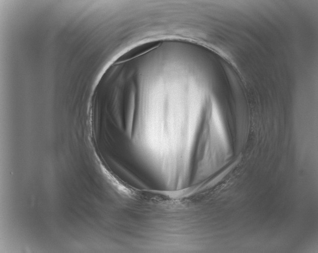 X0000054431524200508192110