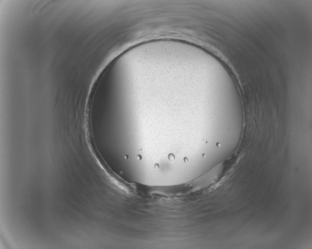 X0000054431525200508192110