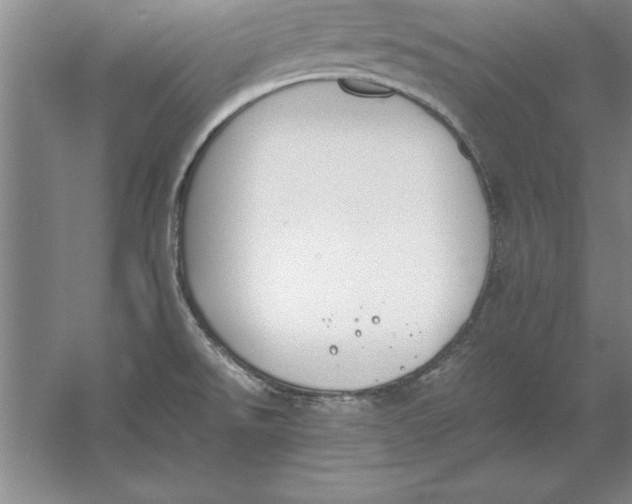 X0000054431526200508192110