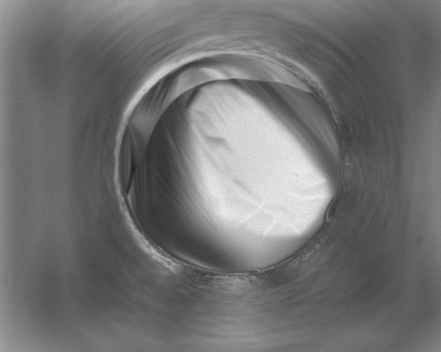 X0000054431528200508192110