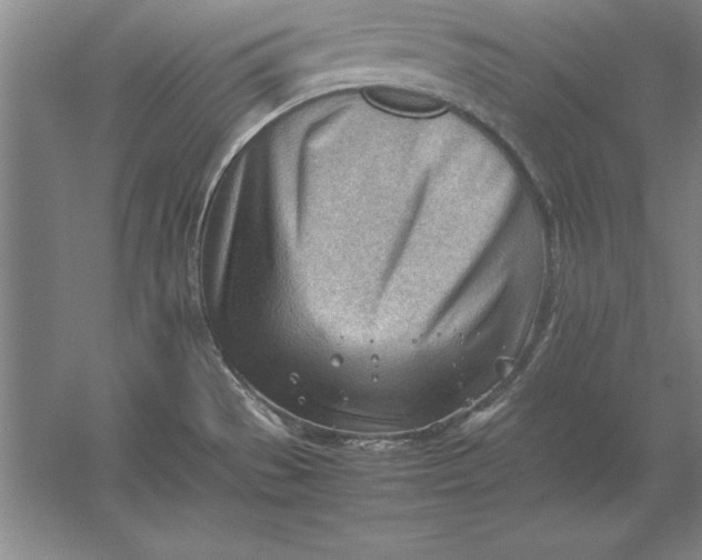 X0000054431529200508192110