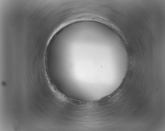 X0000054431530200508192110