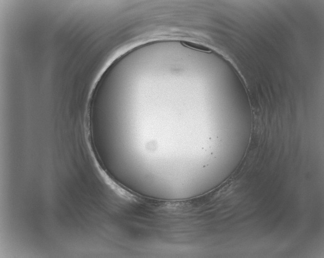 X0000054431531200508192110