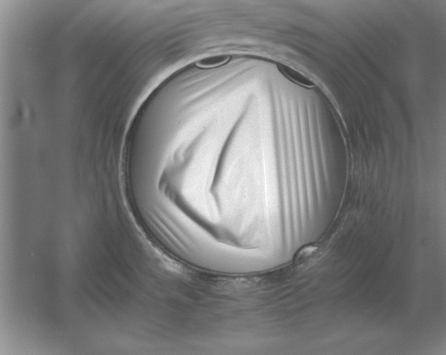 X0000054431533200508192110