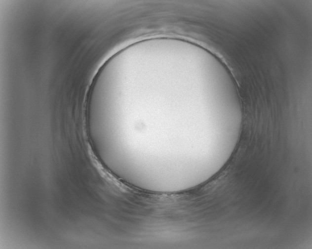 X0000054431534200508192110