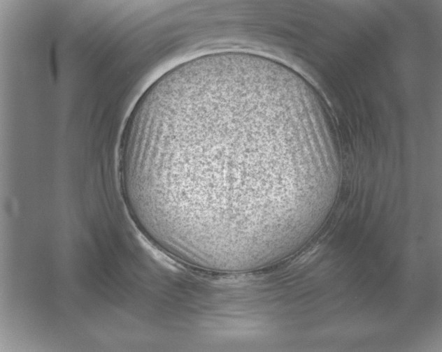 X0000054431535200508192110