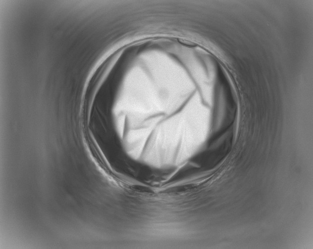 X0000054431536200508192110