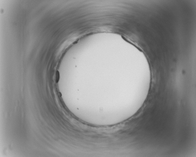 X0000054430001200508262359