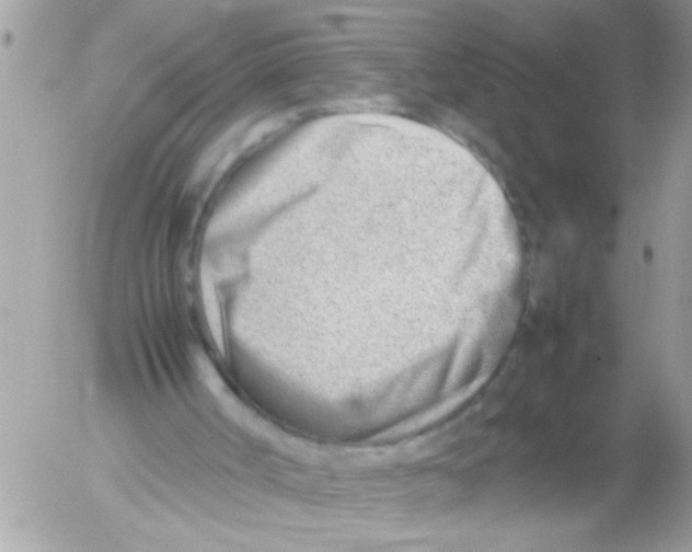 X0000054430002200508262359