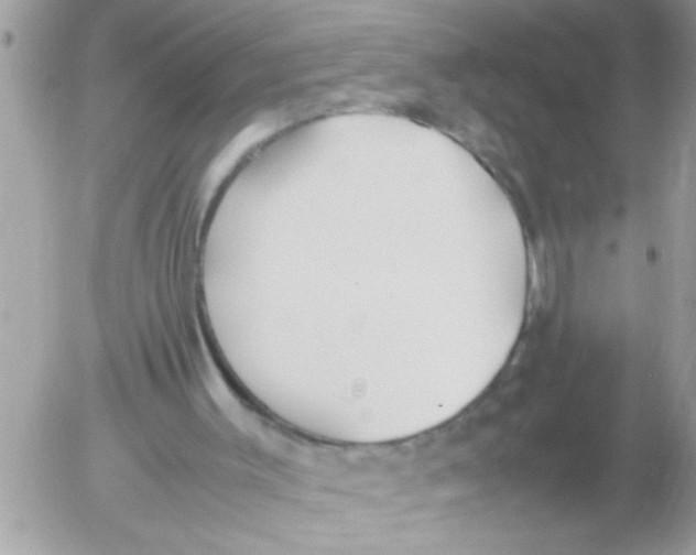 X0000054430003200508262359