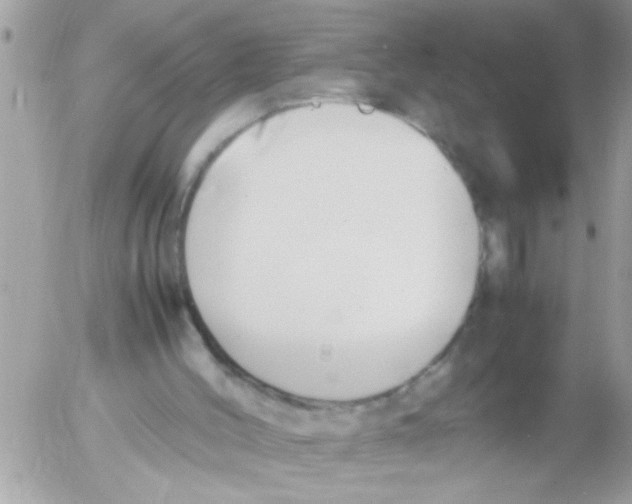 X0000054430004200508262359