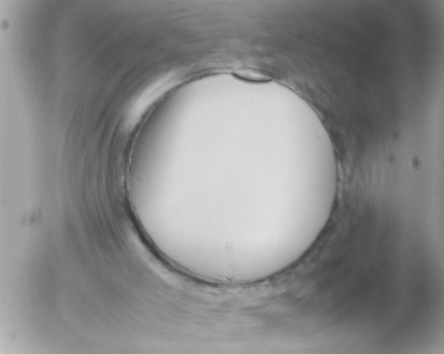 X0000054430005200508262359