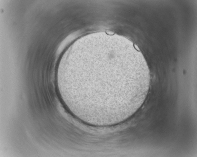 X0000054430006200508262359