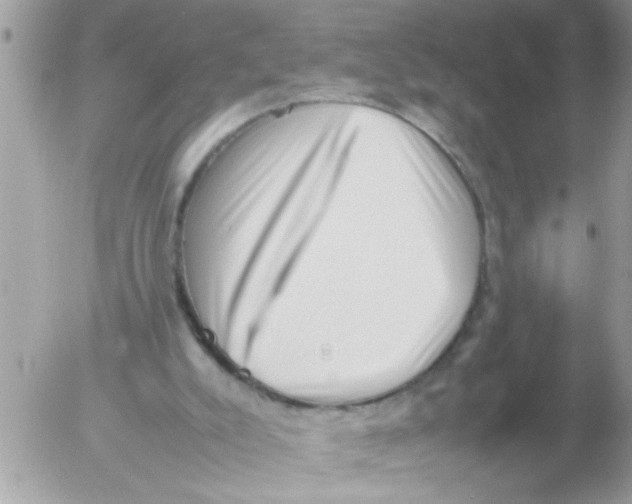 X0000054430007200508262359