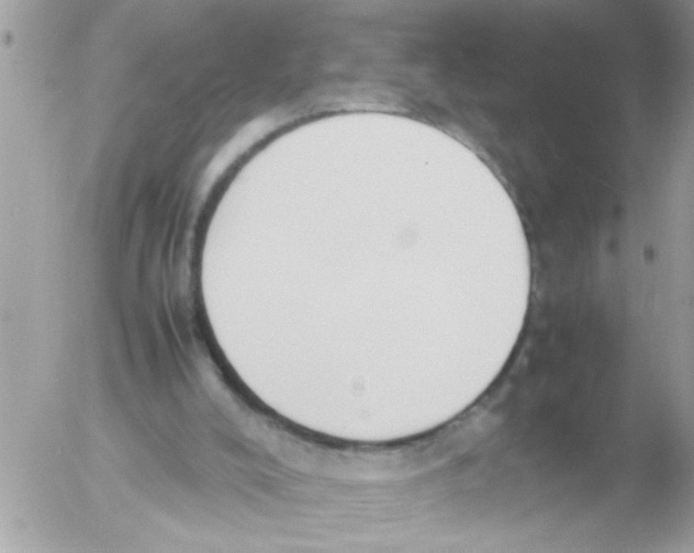 X0000054430008200508262359