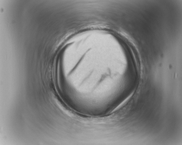 X0000054430009200508262359