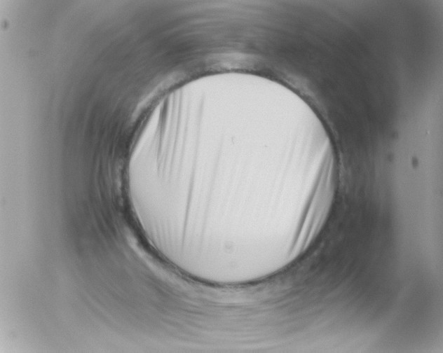 X0000054430010200508262359