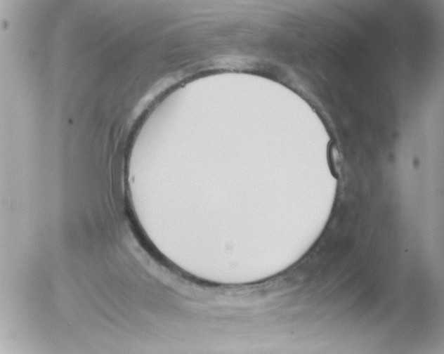 X0000054430011200508262359