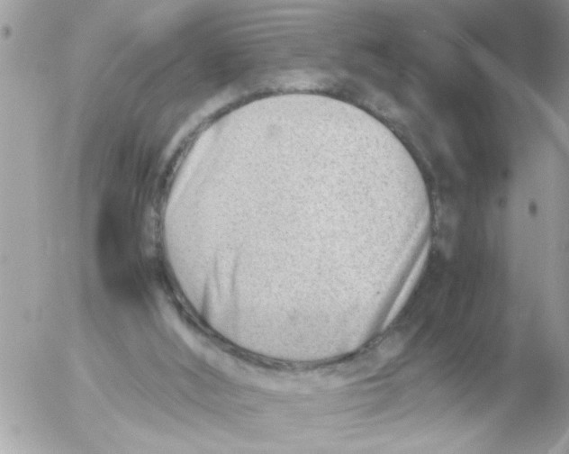 X0000054430012200508262359