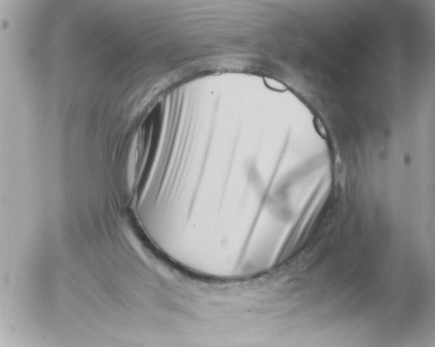 X0000054430013200508262359