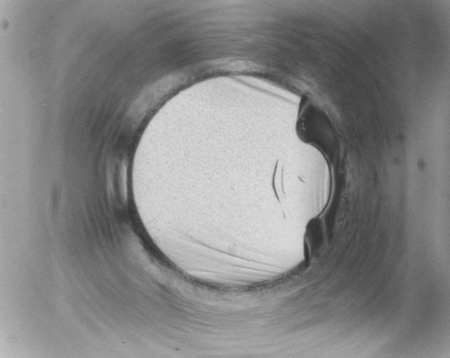 X0000054430014200508262359