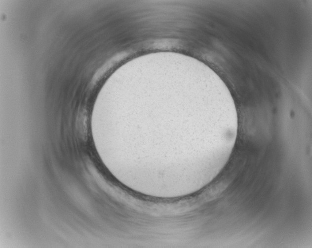 X0000054430016200508262359