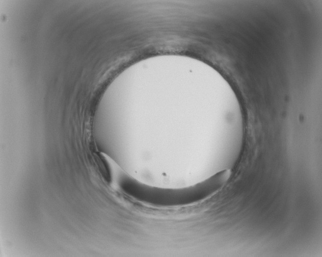 X0000054430017200508262359