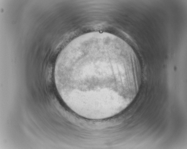 X0000054430018200508262359