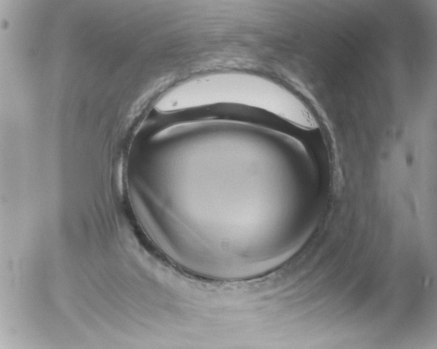 X0000054430019200508262359