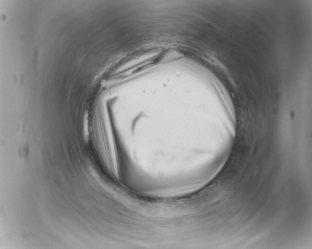 X0000054430020200508262359